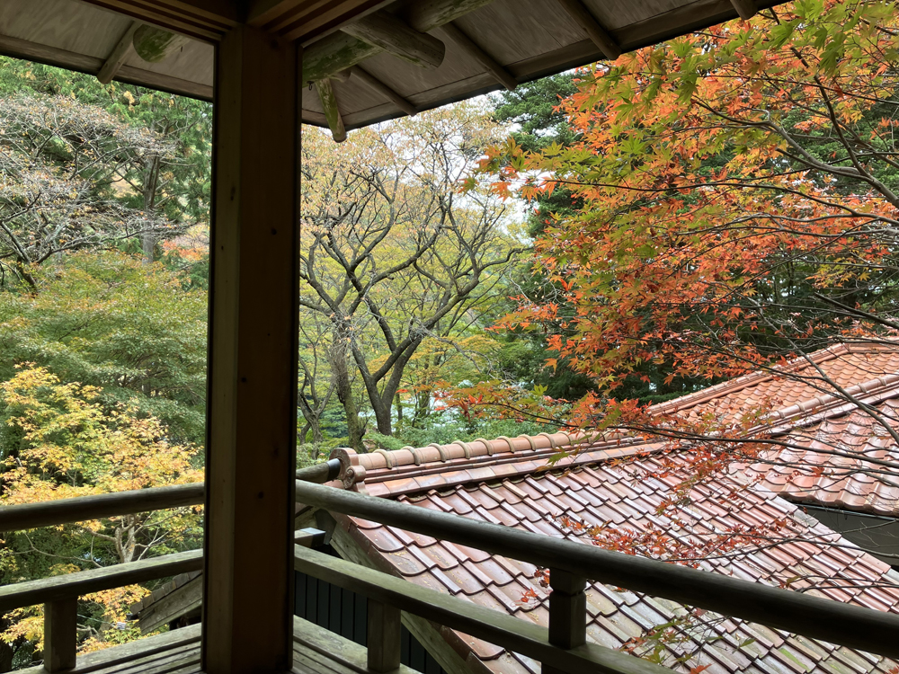 菰山展無事終了